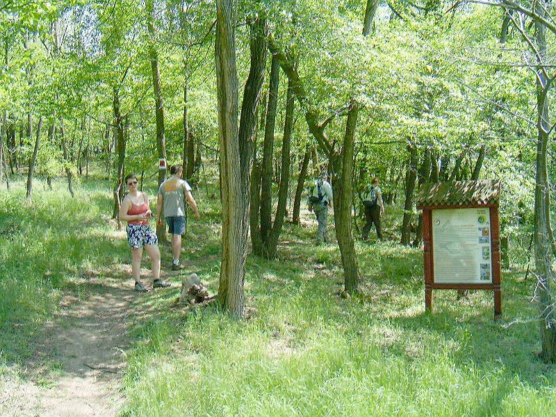 20120501 060.jpg